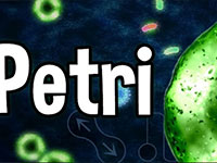 Игра Чашка Петри